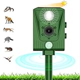 Katzenschreck Ultraschall,Solar Katzenschreck für Garten,IPX5 Wasserdicht USB Raccoon