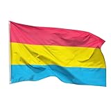 PHENO FLAGS Pan Flagge 90x150cm - wetterbeständige Pride Fahne mit Messingösen, 100% Polyester, robuste Doppelnaht & in lebendigen Farben - ideal für Flaggen-Liebhaber