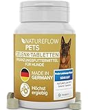 Gelenktabletten Hunde – Test SEHR GUT Made in Germany mit Grünlippmuschel, MSM und Teufelskralle - Keine Kapseln, hohe Akzeptanz Gelenktabletten Hund - 100 Stück