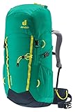 deuter Climber Kinder Alpinrucksack (22 L), Fern-ink