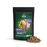 winnies® Broncho-Immun für Pferde – Ergänzungsfuttermittel mit Holunder, Thymian, Pfefferminze, Süßholz, Vitamin C, Zink – Ohne Zucker & Getreide – Stärkung von Bronchien & Immunsystem – 1 kg Pellets