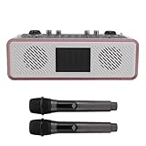 Tomantery Mikrofon -Sound -Karten Kit, HiFi Stereo Multi Karaoke Lautsprecher Modus Sound Microfon Kit