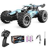 Pmgud Ferngesteuertes Auto, 2,4 GHz 1:18 Proportional 2WD 20+ km/h Hobby Offroad Monster RC Truck, wasserdichte RC Truggy RTR Geländegängig Spielzeug-blau