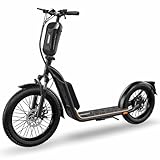 Elektro Scooter mit Straßenzulassung ABE E-Scooter Elektroroller eKFV Zulassung Faltbar Roller EScooter - schwarz (Schwarz - 20,0Ah)