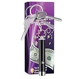 UV-Schwarzlicht-Taschenlampe – UV-Licht LED | Tragbarer LED-Detektor gegen Fälschungen, Detektor für Hunde/Katzen, Urin, Haustierflecken