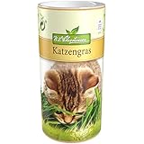 Premium Katzengras Samen Chrestensen, Grassamen schnellkeimend, 1 Dose 110 g, reicht für ca. 4-5 m² Katzengras fertig gewachsen, Natürliche Katzen Leckerlies zu Hause