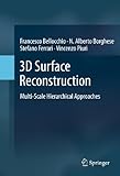3D Surface Reconstruction: Multi-Scale Hierarchical Approaches (English Edition)