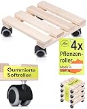 LUNA® Pflanzenroller eckig 2er Set - massives Buchenholz 100kg Traglast - Rollbrett Pflanzen - Blumenroller - Pflanzen Rollbrett - Blumentopf Untersetzer mit Rollen - 25x25cm - Made in Austria