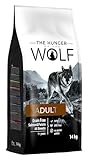 The Hunger of the Wolf Hundefutter für ausgewachsene Hunde aller Rassen und für Hunde mit Allergien, Fein zubereitetes Trockenfutter ohne Getreide mit Lachs und Kartoffeln - 14 kg