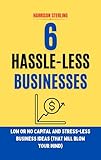 6 HASSLE-LESS BUSINESSES : LOW OR NO CAPITAL AND STRESS-LESS BUSINESS IDEAS (that will blow your mind) (English Edition)