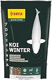 sera KOI Professional Winterfutter 500 g unter 12°C Spezial Koifutter für Koi & andere wertvolle Teichfische, Futter mit sehr hoher Futterverwertung, geringere Wasserbelastung & damit weniger Algen