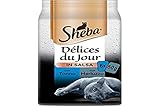 Sheba Délice Du Jour Nassfutter für Katzen mit Thunfisch und Kabeljau in Sauce, 12 Packungen mit je 6 Beuteln x 50 g, insgesamt 3600 g