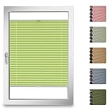 StoffTex Wabenplissee I nach Maß I ohne Bohren mit Klemmträger I Doppelplissee I Thermoplissee Blickdicht für Fenster & Tür I Verdunklungplissee I Plisseerollo Faltrollo I 16 Farben I Höhe 25-130 cm