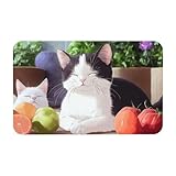 Artisanal Habitat Fußmatte Innen, Illustration Von Mehreren Katzen rutschfeste Silikonbodenmatte, Waschbar Schmutzfangmatte, Für Eingangsbereich, Küche, Terrasse, Badezimmer, 50x80cm