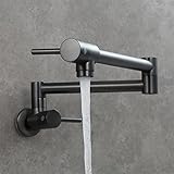 360° Schwenkbarer Topffüller Küchenarmatur - Wandmontage Einzel-Kaltwassermischer mit Doppelgelenkdüse, ideal für Küchenspülen - Stilvolles graues Finish