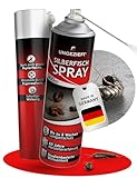 UNGEZIEFIX Silberfisch Spray [NEU! MIT FUGENAUFSATZ] Effektiv Silberfische bekämpfen +3 Monate Langzeitwirkung [400ml] Papierfische bekämpfen, Alternative zu Silberfischfalle & Silberfische Köderdose