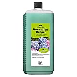 Flora Boost Hortensien Dünger Flora Boost 500ml I Für bis zu 100L Gießwasser I Blumendünger für alle Hortensien Arten I Flüssiger Blatt- & Wurzeldünger I 100% natürlicher Pflanzendünger