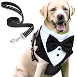 Hunde-Smokinggeschirr, verstellbar, Leine, Fliege, Haustierweste, Geschirr, Verlobung, Geburtstag, Valentinstag, Party, Haustierkostüm