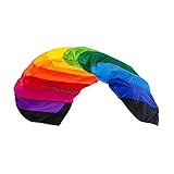 Wolkenstürmer® Paraflex Basic 2-Leiner Lenkmatte 2.1 (Regenbogen) - Rainbow Kite Drachen mit Flugschlaufen – Flugdrachen zum Lenken ab 10 Jahre