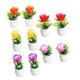 Toddmomy 10 Stück Simulierte Topfverzierung Kunstpflanze Miniatur Bonsai Kleines Bonsai-Modell Mini-simulationsbonsai Simulation Topfbonsai Künstliche Mini-topfpflanzen Harz