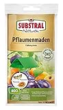 Substral Naturen Pflaumenmaden-Falle zum Abfangen der Pflaumenwicklermännchen, Klebefalle mit Lockstoff, 1 Set