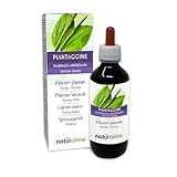 Spitzwegerich oder Lungenblattl (Plantago lanceolata) Blätter Alkoholfreier Urtinktur Naturalma - Flüssig-Extrakt Tropfen 200 ml - Nahrungsergänzungsmittel - Veganer