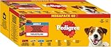 PEDIGREE DOGCARE Hundefutter Portionsbeutel Chunks in Gelee Adult 40 x 100g
