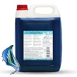 ICE BÄR Slush Sirup 12 fruchtige Sorten 5 Liter Konzentrat | Geschmack Blaubeere | Slushy Maker Ice für Eis Maschine zum Selbermachen Getränkesirup