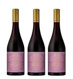 3x 0,75l - 2020er - Castel Sallegg - Cabernet Sauvignon - Riserva - Alto Adige D.O.P. - Südtirol - Italien - Rotwein trocken