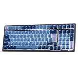 RK ROYAL KLUDGE RK98 Mechanische Tastatur Kabellose Gaming Tastatur 2.4G/Bluetooth 5.1/USB-C RGB Hinterleuchtet Deutsches Layout QWERTZ 100 Tasten Hot Swappable Roter Schalter, Blau