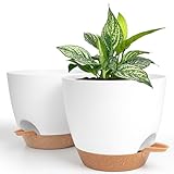 Winter Shore 20 cm Blumentopf Selbstbewässernd [2er-Pack] - Weiß-Brauner Kunststoff-Blumentopf mit Wasserspeicher, Abflusslöchern, Untersetzer - Moderner Blumentopf für Zimmer- & Außenpflanzen