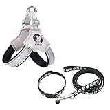 2-teiliger schwarzer Hunde-Y-Rücken und Leine für kleine und mittelgroße Hunde anti zieh geschirr, mit reflektierender Leine.