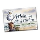 Möwe Aquarell Moin Spruch Souvenir Souvenir Magnet Maritim Dekomagnet für Kühlschrank oder Büro, lustig und kreativ