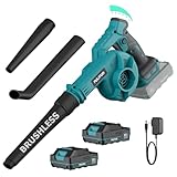 Laubbläser Akku, 20V Laubbläser mit 2 Akkus und Ladegerät, 6-Gang 257 KM/H Leichtgewicht Kleiner Leistungsstark Gebläse mit 3 Aufsätzen für Staub, Laub, Garten und Haushalt