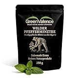 GreenValence Wilder Pfefferminztee geschnitten - Premium Wildsammlung aus Portugal - Handgeerntet & natürlich sonnengetrocknet - Reines Naturprodukt ohne Zusätze - Aromatischer Kräutertee (250 g)