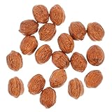 SOLUSTRE 20Stücke Künstliche Walnüsse Dekoration Modelle für Fotografie Requisiten Lebensechte Nuss Ornamente für Zuhause und Einzelhandel für Ausstellungen und Kreative