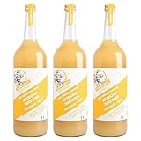 Ginger Hero BIO-Drink Zitrone-Ingwer aus 100% BIO-Bourbon-Ingwer aus Madagaskar(DEÖKO-007), ohne Zucker und künstliche Zusatzstoffe, 3x1000 ml