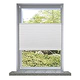 BaraSh Plissee Faltrollo Rollo Plisseerollo 50x125cm Weiß Plisseerollo Jalousie für Tür & Fenster Blickdicht Sichtschutz Sonnenschutz