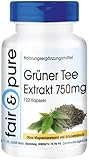 Fair & Pure® - Grüner Tee Extrakt 750mg - 120 Kapseln - entkoffeiniert - vegan