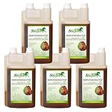 RL24 Stiefel - Nervenkräutersaft für Starke Nerven | Kräutersaft mit Lavendel | Ergänzungsfuttermittel für nervöse & gestresste Pferde | Pferde Zusatzfutter | 5 x 1000 ml Flasche (5er Set)