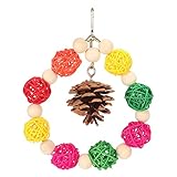 Eco - Friendly Bird Cage Hanging Toys | Rattan Balls & Pine Cones Chewable Parrot Swing | Safe Toys for Lovebirds/Finch/Parakeets | Metal Hooks for Easy Installation (REXVTNSoXQ-11)