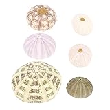ERINGOGO 6Stücke DIY Handgefertigte Seeigel Dekorationen Muschelornamente Für Aquarien Und Wohnräume Zufällige Farben Als Aquarium Zubehör Und Tischdekoration