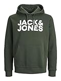 JACK & JONES Herren Kapuzenpullover Jjecorp Logo Sweat Hood Noos, Mountain View/Fit:reg/Large Print, XL