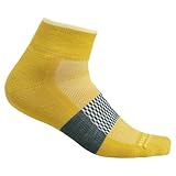 Icebreaker Merino Herren Multisport Light Cushion Mini Socke, Lux/Lucid/Fathom Green, Small