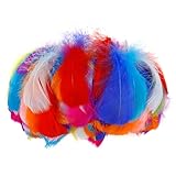 ENLACE Bunte Federn, 200 Stück Bunte Federn zum Basteln, 6-12 cm Natürliche Feder Deko, Basteln Federn Zubehör für DIY Ohrring, Hochzeit, Traumfänger, Kopfschmucksfedern, Ostern, Gemischte Farben