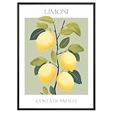 MJ-GRAPHICS® Poster Zitrone Bilder Zitrusfrüchte Obst Kunstdruck Küche Bild Zitrone A4 Küchenbilder Wohnzimmer Poster Wandbilder Wohnzimmer Bauernhof Gartendekoration Küche Esszimmer - ohne Rahmen