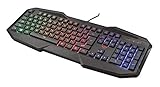 Trust Gaming GXT 830-RW Avonn Gaming Tastatur, QWERTZ Deutsches Layout, Regenbogenwellen-Beleuchtung, Anti-Ghosting, Spielmodus, 12 Media-Tasten, USB Tastatur für PC/Laptop - Schwarz
