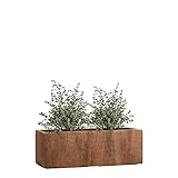 Pflanzwerk® Pflanzkübel TUB Rost 17x50x17cm XXL – Rechteckig – Großer Fiberglas Blumenkübel für Garten & Fensterbank außen und innen - Frostbeständig - UV-Schutz - Markenqualität