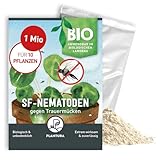 Plantura SF-Nematoden gegen Trauermücken, zum Gießen, hochwirksam & biologisch, Nützlinge aus Deutschland, 1 Mio für 1 m²/ ca. 10 Pflanzen