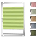 StoffTex Wabenplissee I nach Maß I ohne Bohren mit Klemmträger I Doppelplissee I Thermoplissee Blickdicht für Fenster & Tür I Verdunklungplissee I Plisseerollo Faltrollo I 16 Farben I Höhe 25-130 cm